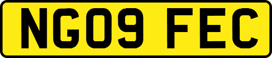 NG09FEC