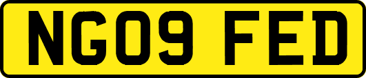 NG09FED
