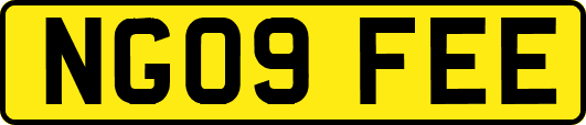 NG09FEE