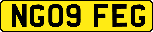 NG09FEG