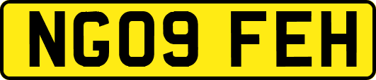 NG09FEH