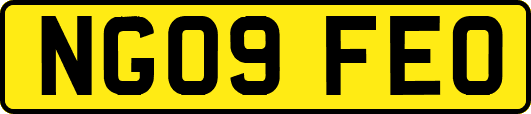 NG09FEO