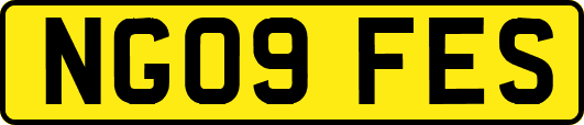 NG09FES