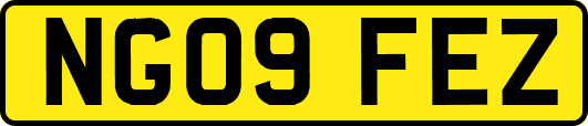 NG09FEZ