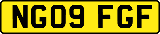 NG09FGF