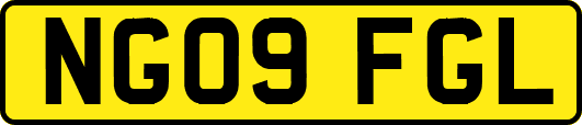 NG09FGL
