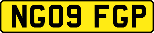 NG09FGP