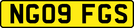NG09FGS
