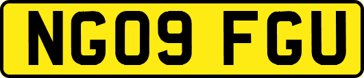NG09FGU