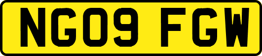 NG09FGW