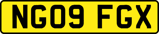 NG09FGX
