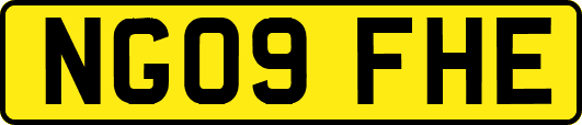 NG09FHE