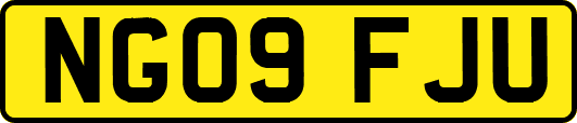 NG09FJU