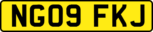 NG09FKJ