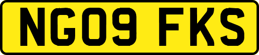 NG09FKS