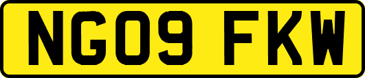 NG09FKW