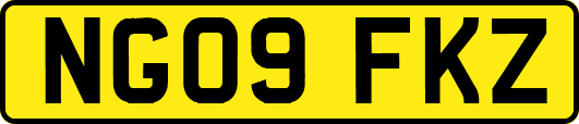 NG09FKZ