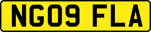 NG09FLA