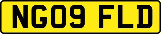 NG09FLD