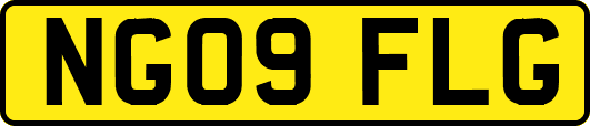 NG09FLG
