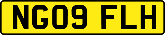 NG09FLH