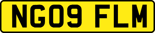 NG09FLM