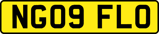 NG09FLO