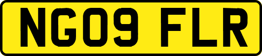 NG09FLR