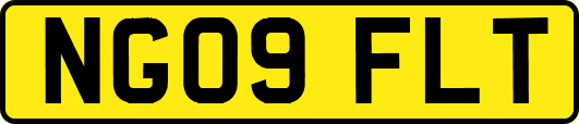 NG09FLT