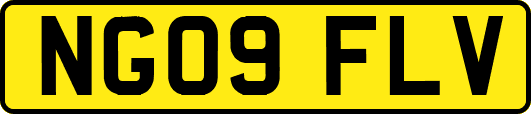 NG09FLV