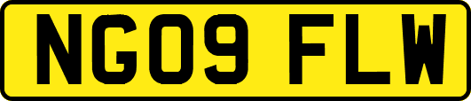 NG09FLW