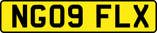NG09FLX