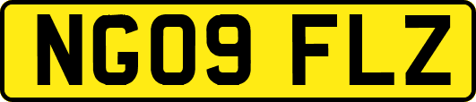 NG09FLZ