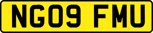 NG09FMU