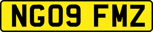 NG09FMZ