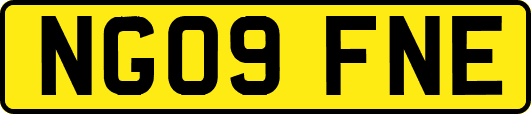 NG09FNE