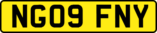 NG09FNY