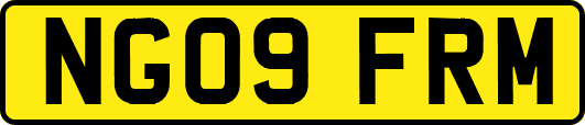 NG09FRM