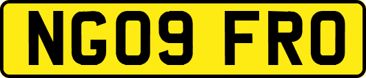 NG09FRO