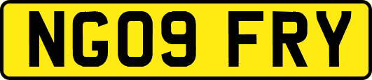 NG09FRY
