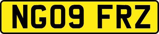 NG09FRZ