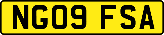 NG09FSA
