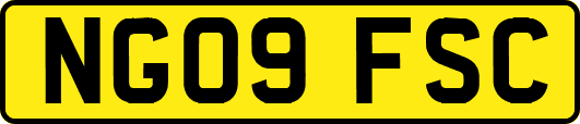 NG09FSC