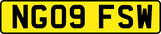 NG09FSW