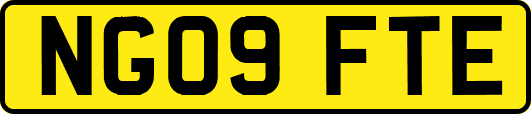 NG09FTE