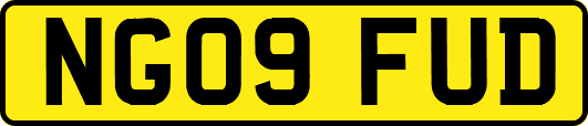 NG09FUD