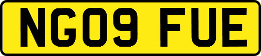 NG09FUE