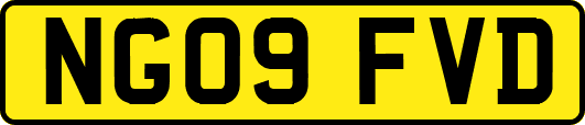 NG09FVD