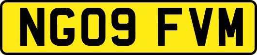 NG09FVM