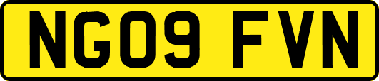 NG09FVN